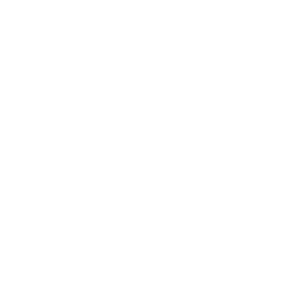Logo Bestattungen Düring Logo Bestattungen Düring